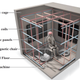 Illustration of the experimental setup.